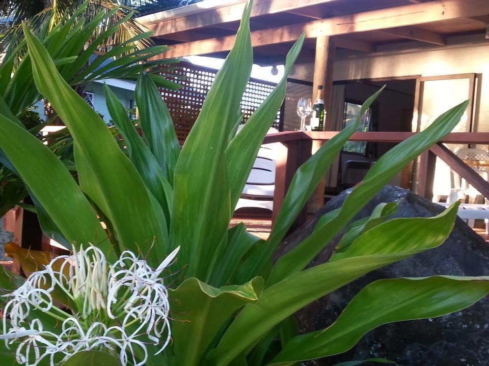 Hotel Sunset Palms Rarotonga Zewnętrze zdjęcie